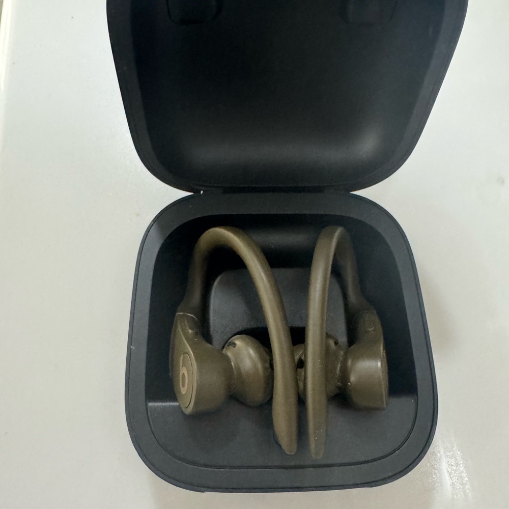 Beats by Dre Powerbeats Pro Moss